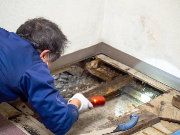 Water Damage Restoration in Lake Tapps, WA