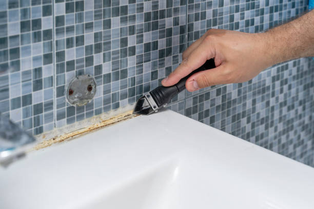 Best Affordable Mold Removal  in Lake Tapps, WA