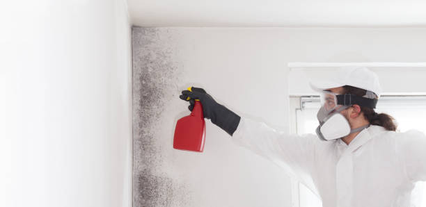 Best Mold Testing  in Lake Tapps, WA